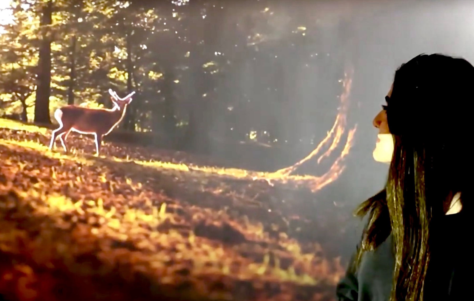 The Climate Reality Room for the OH DEER augmented reality concept
